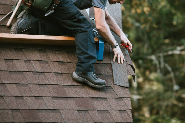 Best Residential Roofing Contractor  in Boise, ID